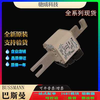 巴斯曼170M3271 170M3272 170M3273 厂价直销批零兼营 原装熔断器