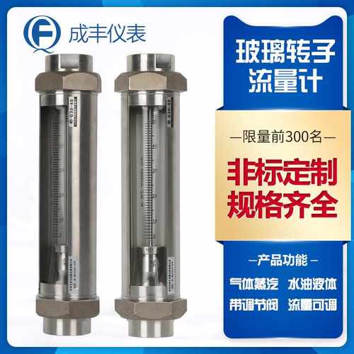 玻璃转子流量计G30-50 不锈钢材质流量计 管螺纹接头G2内丝