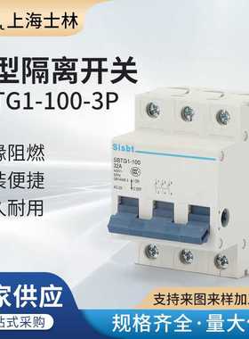 小型隔离开关SBTG1-100-3P 隔离闸刀开关32A 63A 80A100A 125A 3P