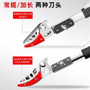 摘果器水果树枝剪刀伸缩高空剪龙眼山枣加长摘果器高枝剪摘果剪