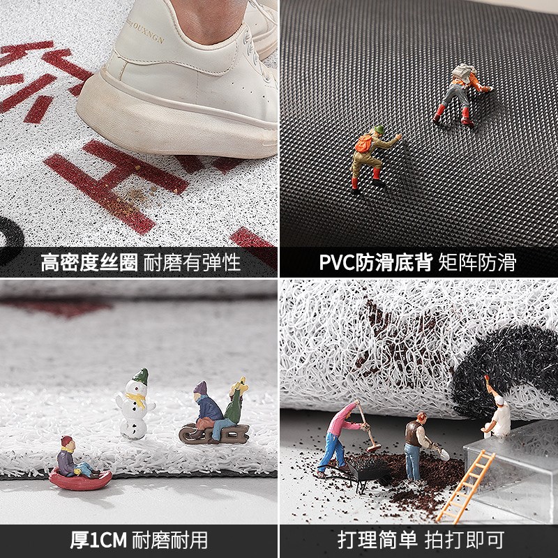 地垫入户门垫耐脏进门大门口脚垫门外20I24新款可裁剪玄关丝圈地