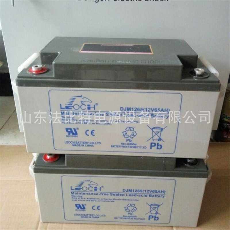 支持到货付款理士铅酸蓄电池DJM12100S/12V100AH理士蓄电池