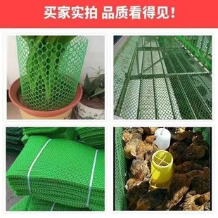 绿色小孔家c用塑料围栏网格加厚防护鸡鸭鹅垫户外育雏网床养殖漏