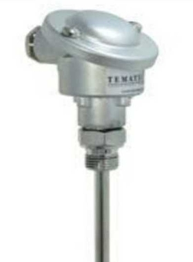 Tematec 热电偶 TE6000 特马泰克 Tematec GmbH 插入式热电偶