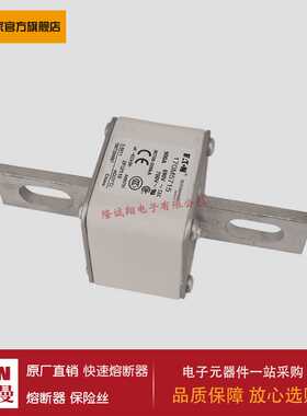 熔断器170M5725 170M5732 170M5733 170M5734 170M5735 170M5751