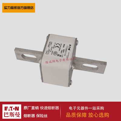 熔断器170M5725 170M5732 170M5733 170M5734 170M5735 170M5751