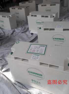 HOPPECKESB12V100（94.8ah）荷贝克（松树）蓄电池电瓶