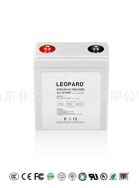 LEOPARD蓄电池HT2-100美洲豹2V100AH机房应急太阳能系统