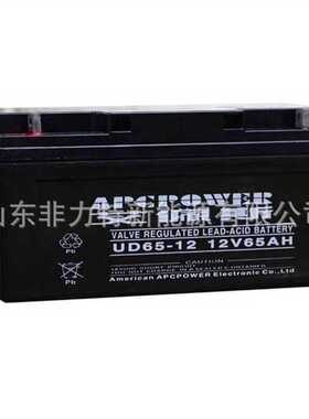 APCPOWER蓄电池 UD65-12 艾佩斯电池12V65AH 太阳能 船舶 UPS电源