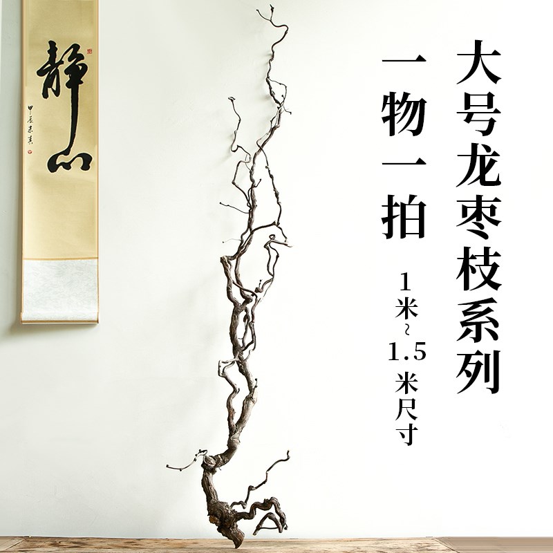 龙枣枝干花干枝枯枝摆件树枝装饰侘寂风禅K意插花枯木一物一拍落