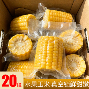 水果玉米20段粗粮真空包装锁住鲜香玉米段家庭聚餐东北玉米甜玉米
