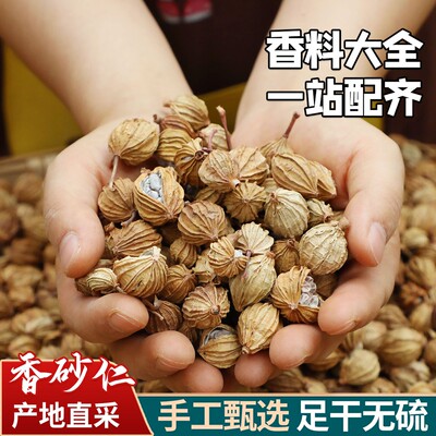 人工甄选 无硫香辛料香砂 川砂仁可打粉 川沙仁 艳山姜 卤料