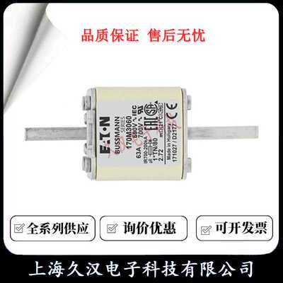 170M3058 170M3059 170M3060 170M3061 BUSSMANN 熔断器 保险丝