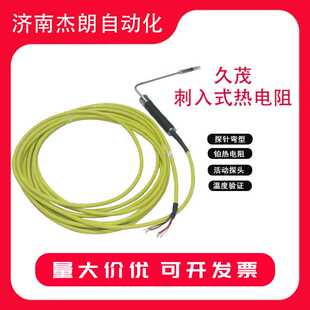 222110 PT1 150 新华活动探头XH 德国JUMO久茂刺入式