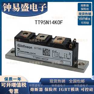 德国可控硅模块 TT95N16KOF TT95N18KOF 全新二极管模块