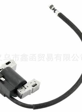 高压包 Briggs & Stratton 495859 715231 591459 690248