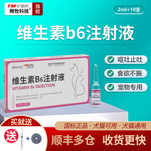 宠物厌食不吃食欲不振维生素b6针