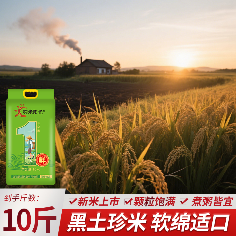 2025年新米东北大米珍珠米10斤家的味道实惠装产地直发5kg