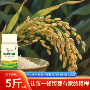 源头厂家直发粒粒分明2.5kg 新米东北盘锦大米5斤装 2025年