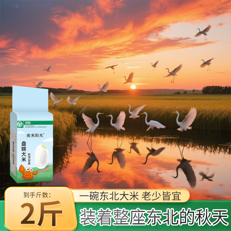 【奕米阳光】东北大米胚芽米2斤装老少皆宜2024年新日期1kg真空装