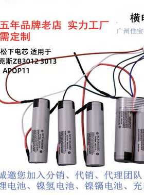 适用于 吸尘器ZB3013ZB3012ZB3011APOP1118V锂电池可充电