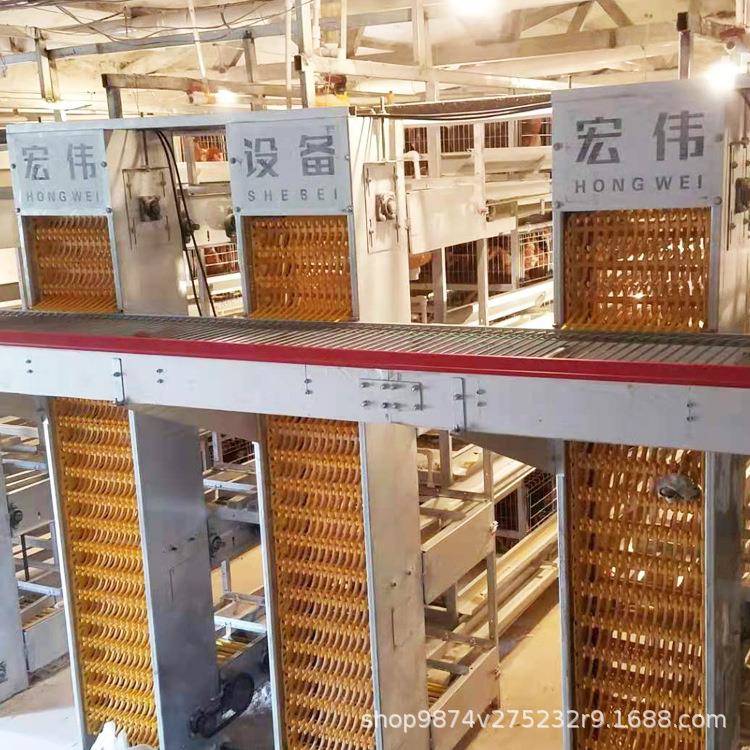 大量生产鸡蛋拾取收集设备全自动化捡蛋机可升降收鸡蛋设备