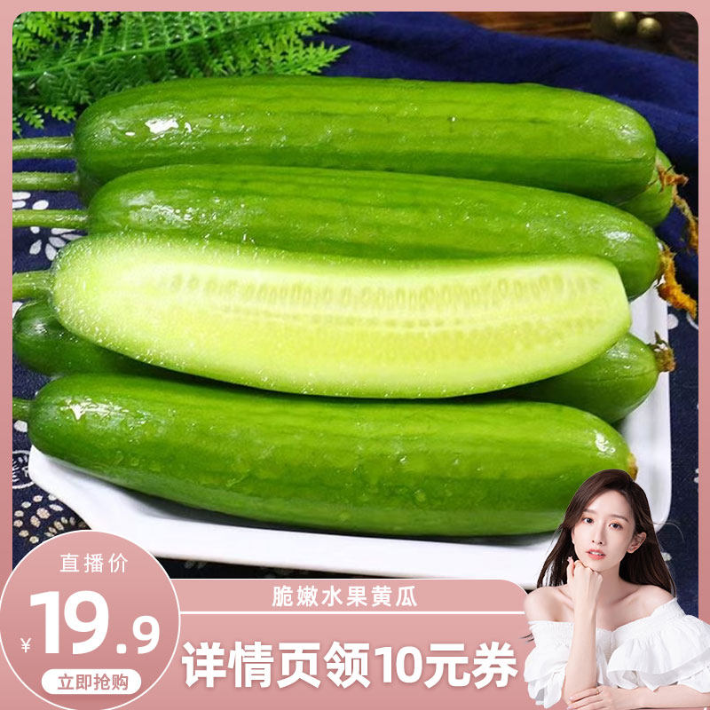 【学姐直播】水果黄瓜新鲜生吃小黄瓜青瓜斤时令当季蔬菜旱山东