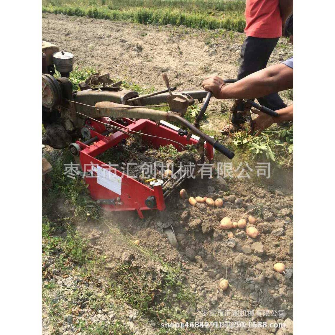 红薯土豆杀秧机多功能杀秧机全自动土豆杀秧机价格