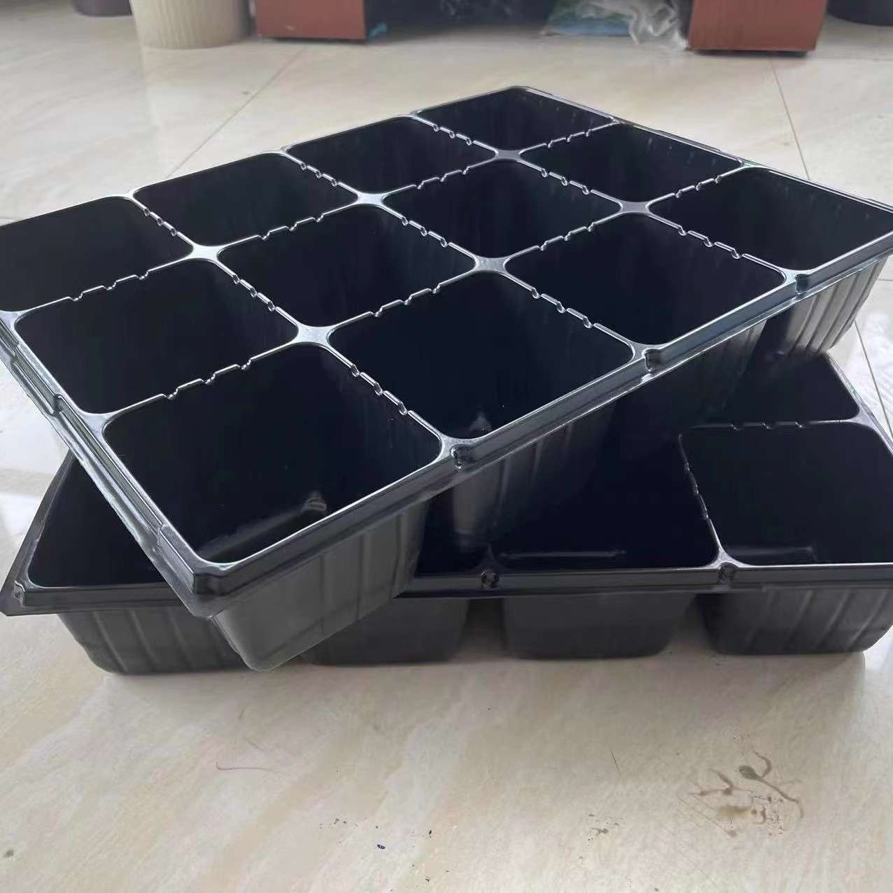 12孔育苗盘穴盘草莓苗木花卉园艺扦插容器林木育苗盆