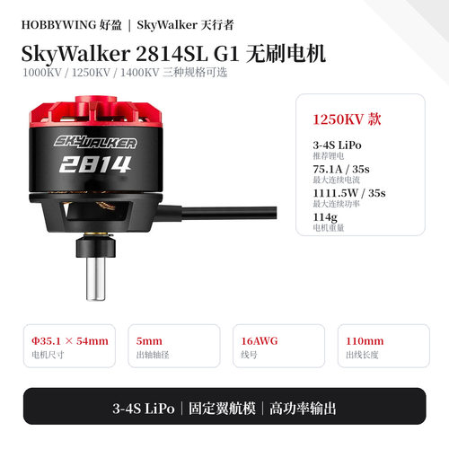 HobbywingSkyWalker281