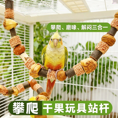 宠帮仕鹦鹉解闷啃咬坚果串爬梯