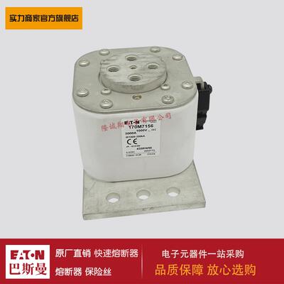 熔断器170M7103 170M7104 170M7105 170M7106 170M7118 170M7119