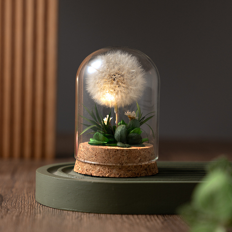 送女朋友情人节教师节礼品小夜灯蒲公英永生干花束玻璃生日礼物