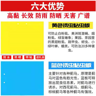 小黄板诱杀小黑飞蚜虫粉虱潜叶果蝇环保物理杀虫诱虫板蓟马虫飞虫
