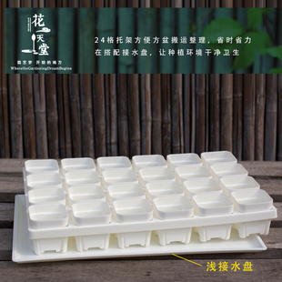 加厚多肉花盆塑料托架浸水托盘组合育苗播种扦插种植操作整理托盘