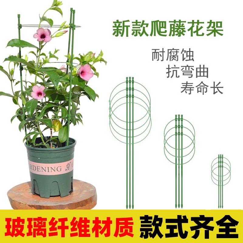 可调节爬藤花架支架蟹爪兰月季花攀爬架子室内花卉绿萝植物支撑杆图片