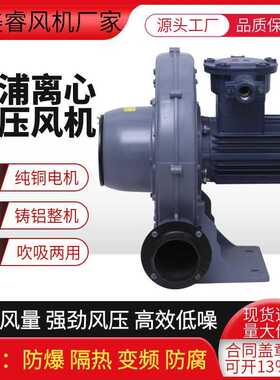 BT4气体防爆CT4粉尘防爆21区中压鼓风机CX-75A铝合金蜗壳风机750w