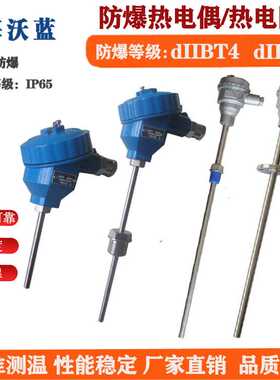 防爆热电偶dIIBT4/dIICT6铠装热电偶EX多点防爆一体化温度变送器