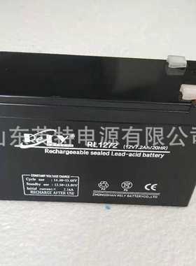 RELY-RL1272 12V7.2Ah/20HR邦华比特威扩音器 蓄电池