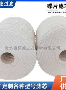 CJC精细滤芯PA5601302 BN27/27离线滤油机过滤器超滤精密工业滤芯