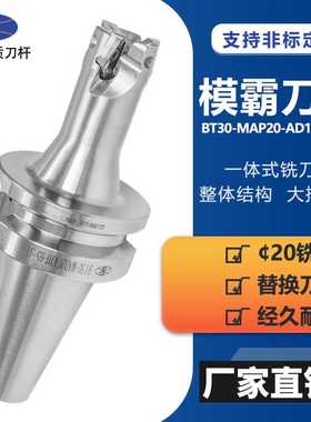 BT30-MAD20-AD11-65-3刃刀杆刀柄AD11刀片BT30铣刀杆高精度