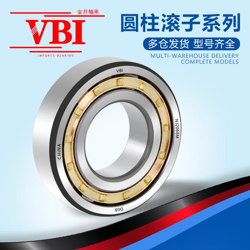 VBI圆柱滚子轴承RN219 220 222 228 304 305 306 307E