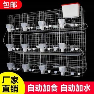 寶配對(duì)鴿籠 鴿子籠家用e特大號(hào)新型養(yǎng)殖場(chǎng)鴿子籠鴿棚鴿舍元