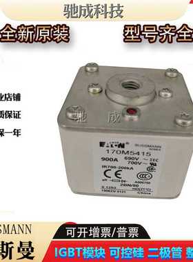 巴斯曼170M5415 170M5416 170M5417  低压保险丝诚信经营货源充足