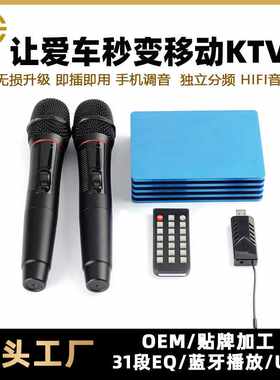厂家 车载KTV娱乐K歌系统DSP汽车功放车用环绕声双麦低音炮