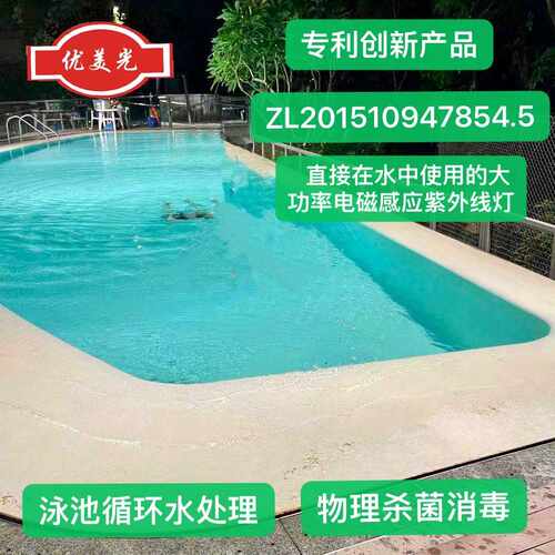 厂家高功率臭氧紫外线无极灯工业废气污水处理UV净化紫外线杀菌灯
