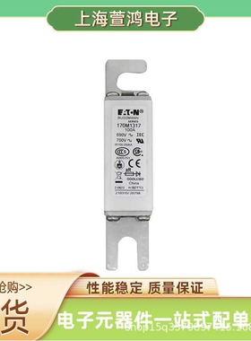 170M3109 170M3110 170M3111 170M3112 原装 新能源熔断器现货