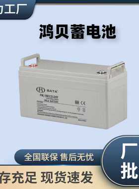 BATA鸿贝蓄电池FM/BB1228T 12V100AH65AH40AH38AH28AH24AH18AH7AH