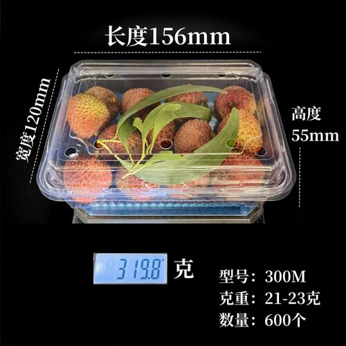一次性水果包装盒长方形透明草莓打包盒500克带盖塑料盒子一斤装