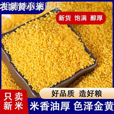 小米黄小米敖汉5斤内蒙赤峰小米粟米杂粮米早餐粥小米粥24年新米